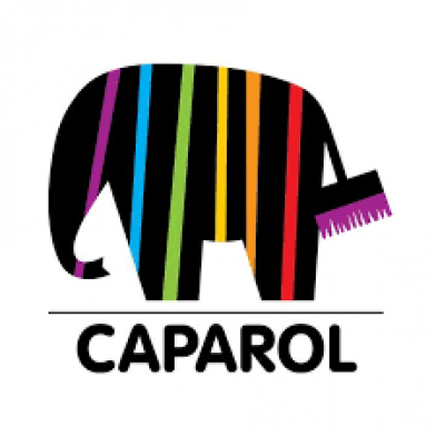 Шпакліка фінішна Caparol Glattspachtel (Akkordspachtel Fein), 25 кг - 