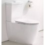 Унітаз підлоговий Grohe Essence 3957200H Rimless