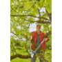 Гілкоріз телескопічний Gardena TeleCut Pro L, 50 мм, 650–900 мм