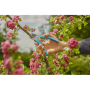 Секатор Gardena EasyCut плоскостной, 20 мм